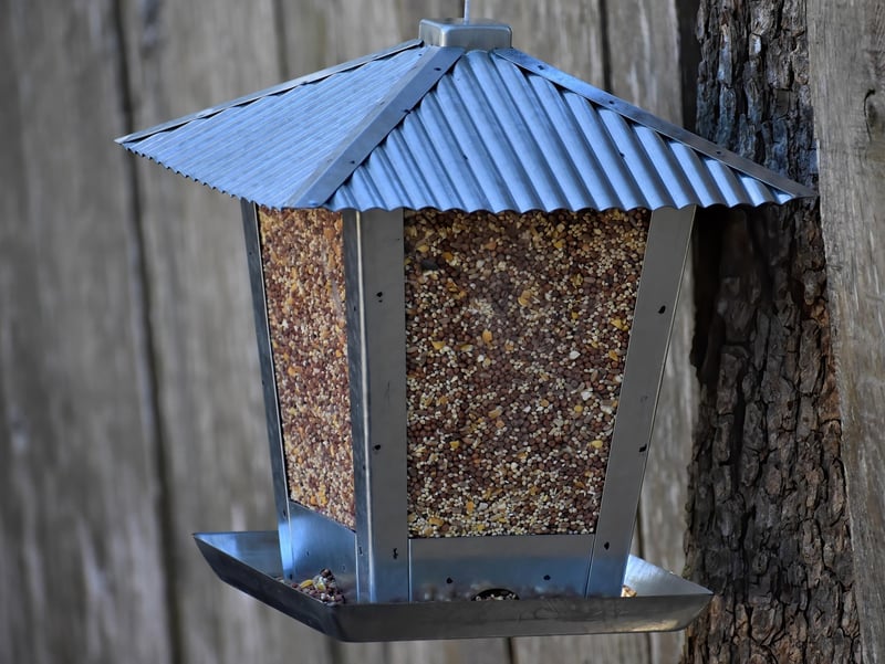 Teacup Bird Feeder